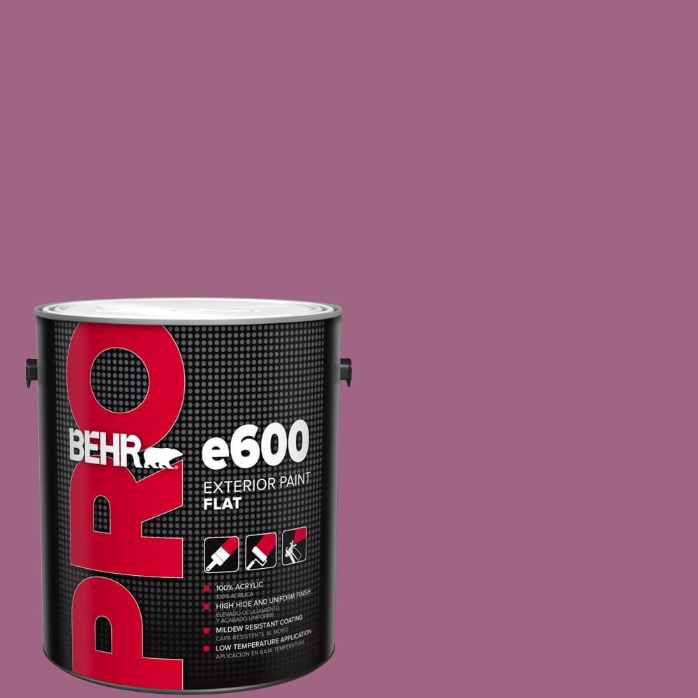 1 gal. #M120-6 Love Poem Flat Exterior Paint price history on PriceWatchPro