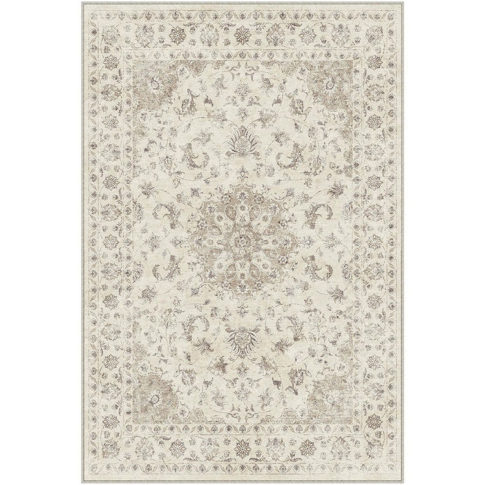 Washington Brown 3 ft. x 5 ft. Vintage Washable Medallion Distressed Area Rug price history on PriceWatchPro