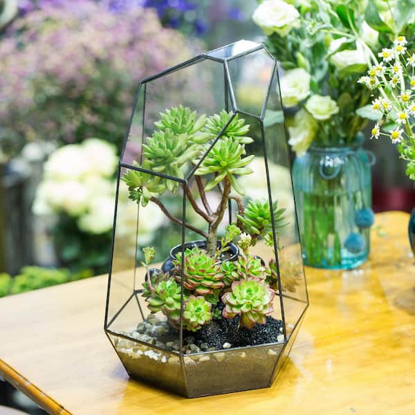 OGETFUUR 16 in. H Geometric Glass Terrarium Planter for Succulent, Small Cacti, Black Irregular Opened Container Pot
