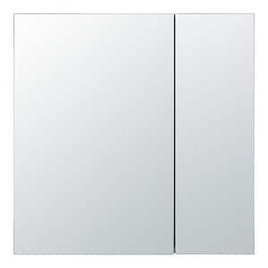 30 in. W x 30 in. H Rectangular Recessed or Surface Wall Mount Medicine Cabinet with Mirror in Stainless Steel