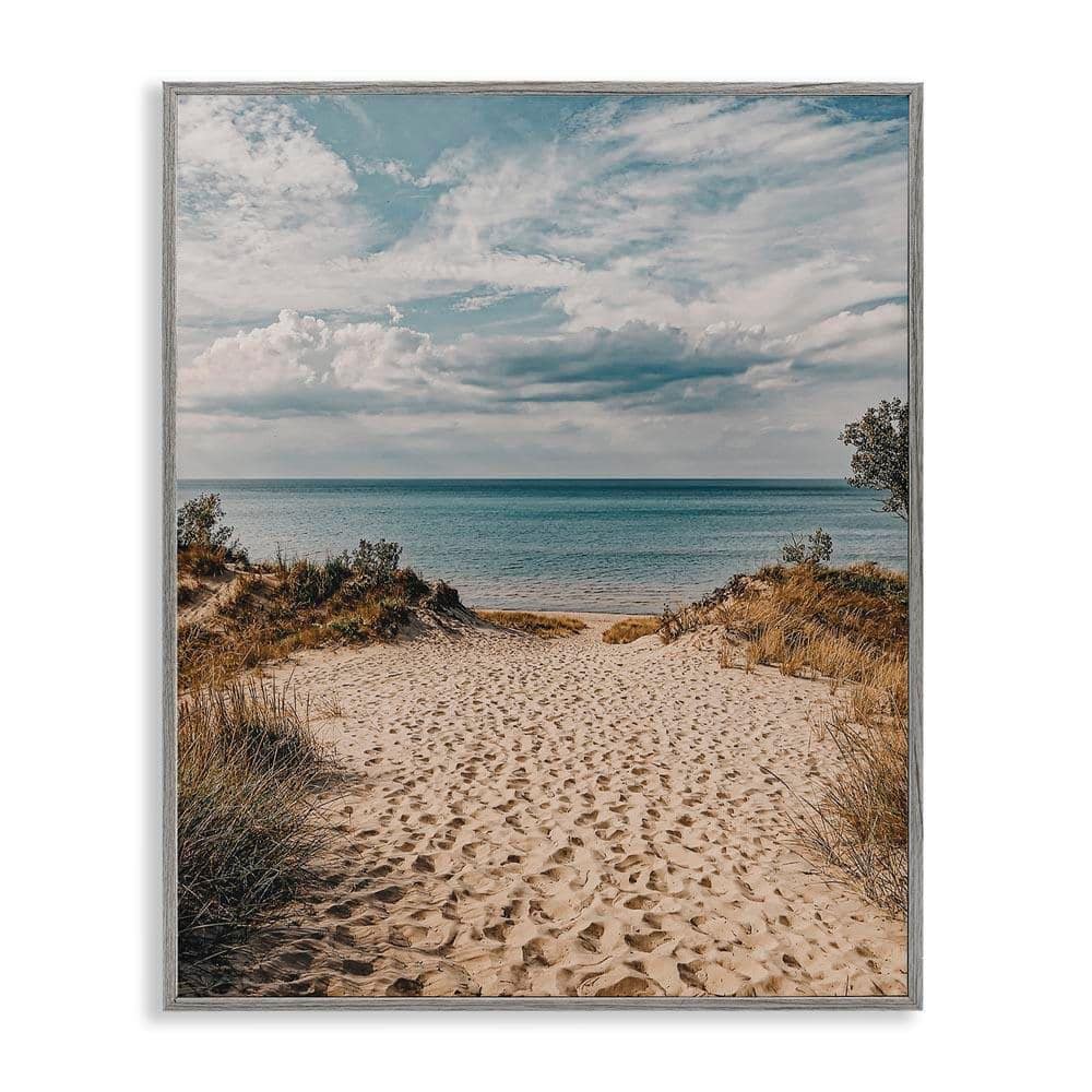 Stupell Industries Traveled Beach Path by LSR Design Studio Gray Framed ...