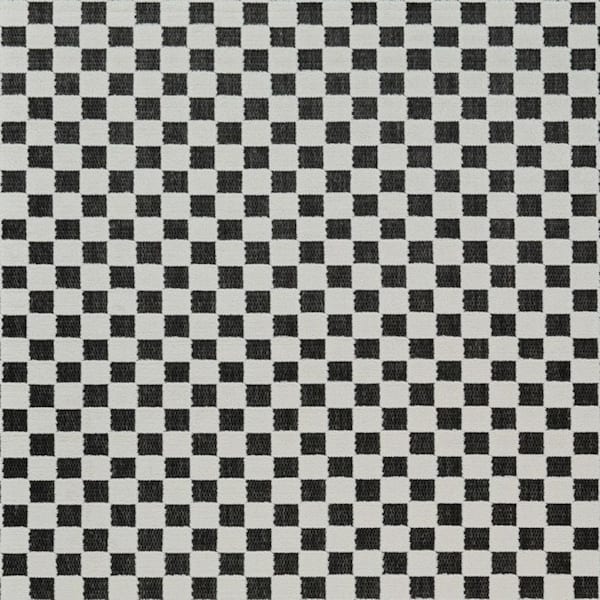 Black, White 6 ft. x 9 ft. Woven Geometric Polypropylene Rectangle Indoor/Outdoor Area Rug