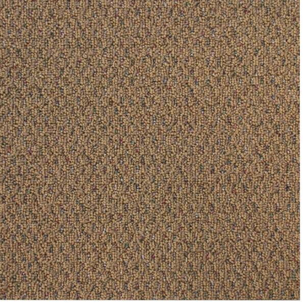 TrafficMaster Carpet Sample - Big Picture - Color Cinnabar Berber 8 in. x 8 in.