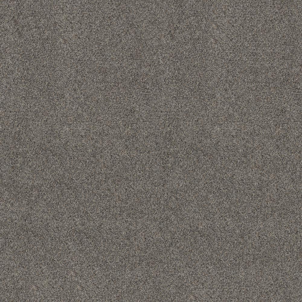 8 in. x 8 in. Texture Carpet Sample - Vacation - Color Thunder