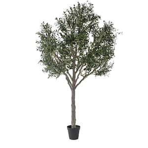 Botanika, 98 .53 in. Green Artificial Majestic Tuscan Olive Tree in Black Pot