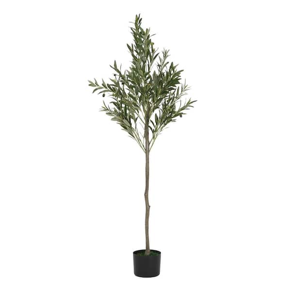 Joseph 5.5 ft. Indoor Green Artificial Olive Tree With Black Plastic Pot