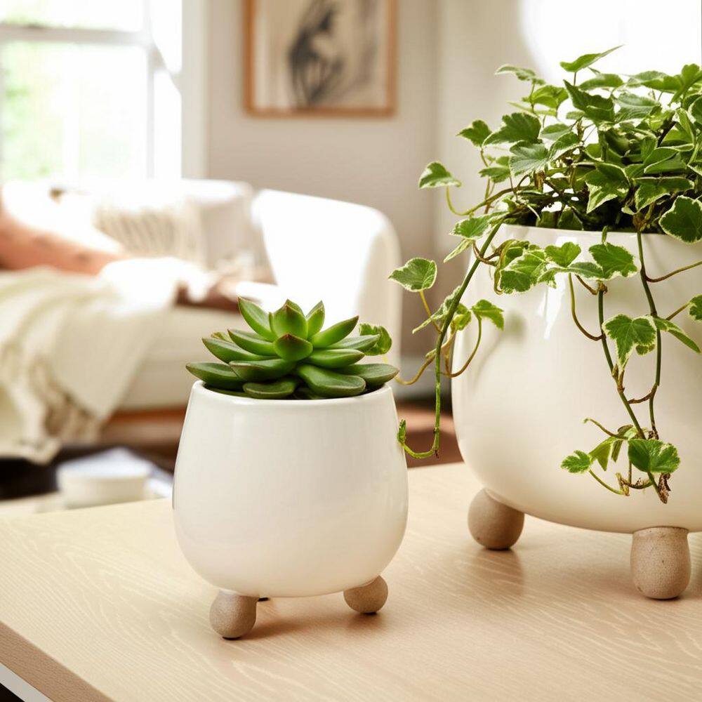 Sagebrook Home 6 to 8 in. Knobby Feet Planters Cream - Set of 2