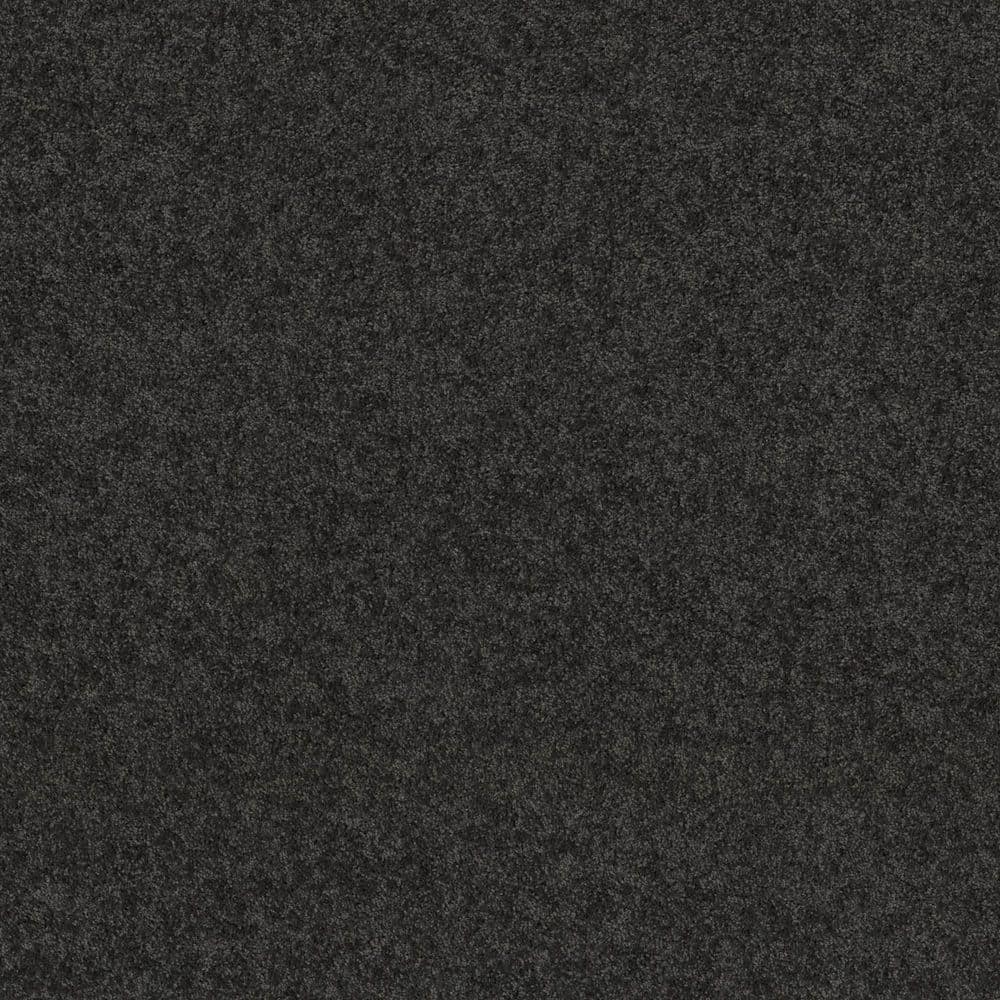 8 in. x 8 in. Texture Carpet Sample - Cottage Comforts - Color Stormy Night price history on PriceWatchPro