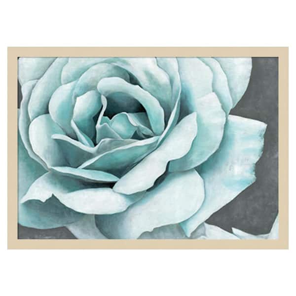 Amanti Art Rose Bloom by Marie Elaine Cusson 25 in. W x 18 in. H. Wood Framed Wall Art Print Framed in Brown