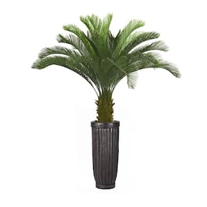 69 in. Artificial Tall Cycas Palm Tree in Planter