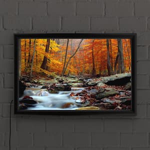 "Ultimate Truth" by CATeyes Framed with LED Light Landscape Wall Art 16 in. x 24 in.