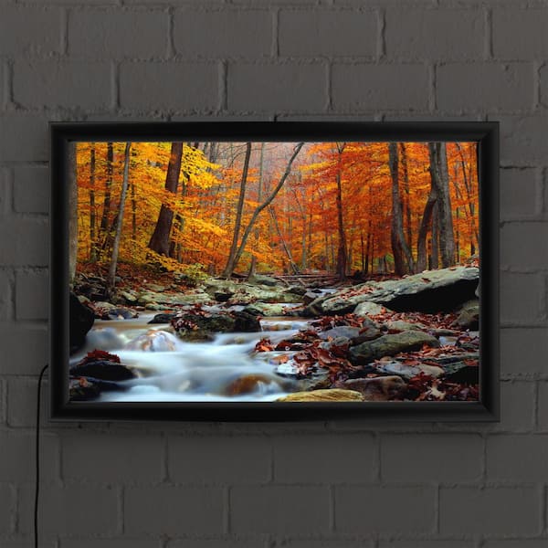 "Ultimate Truth" by CATeyes Framed with LED Light Landscape Wall Art 16 in. x 24 in.