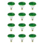 100-Watt PAR38 Medium E26 Base Dimmable Green Color Incandescent Light Bulb (12-Pack)
