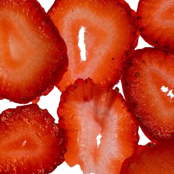 VAN ZYVERDEN Van Zyverden Everbearing Strawberries Quinault 20-Plant Roots