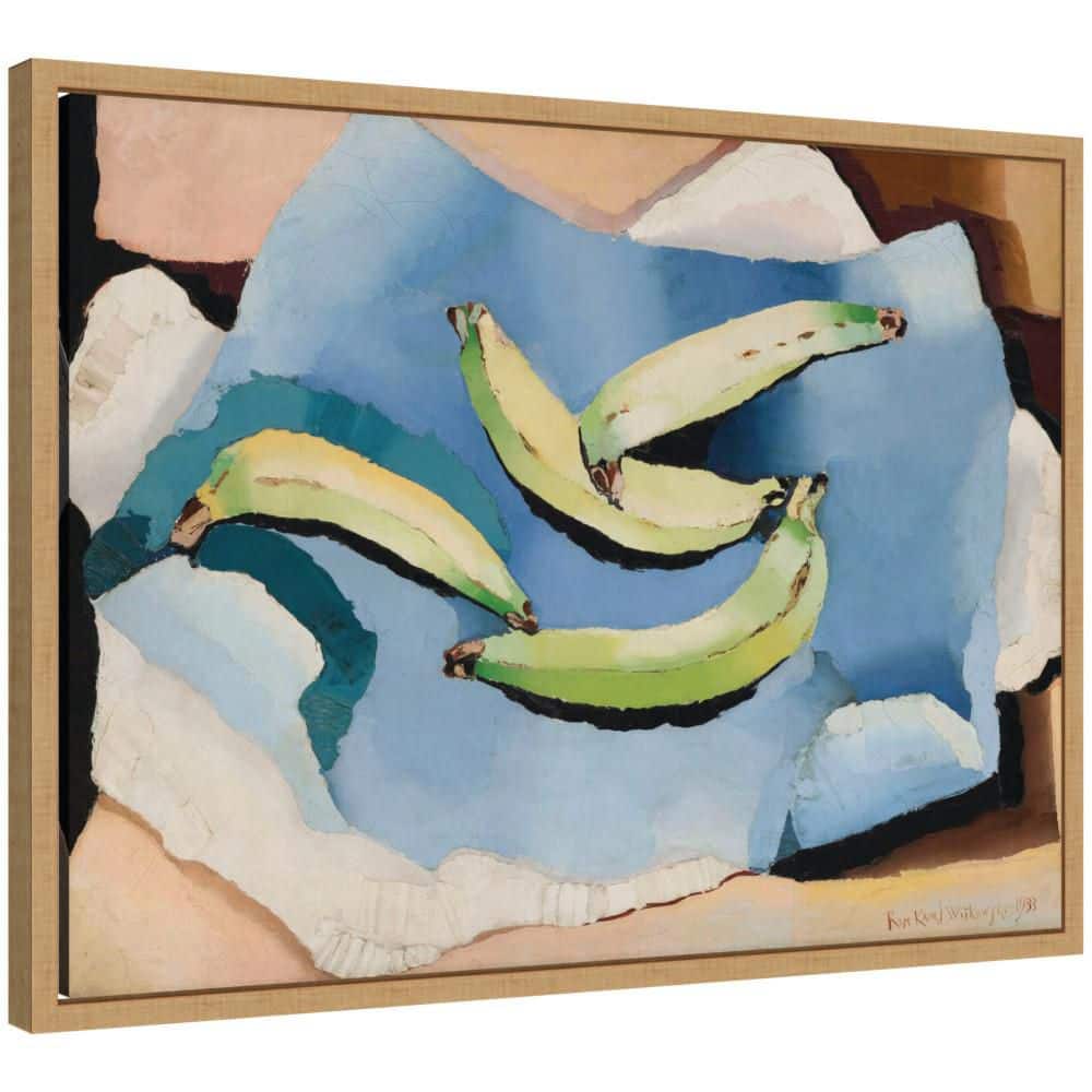 "Sylvie ""Bananas Romuald Kamil Witkowski"" by Nostalgia Prints Food Framed Canvas Art Print 18 in. x 24 in." price history on PriceWatchPro