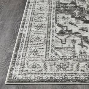 Rhane Alvner Gray 7 ft. 10 in. x 9 ft. 10 in. Oriental Polypropylene Area Rug