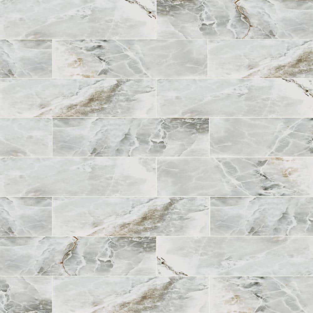 Take Home Tile Sample-Hornbill 4 in. x 4 in. Glossy Ceramic Wall Tile price history on PriceWatchPro