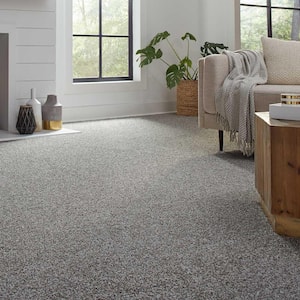 Barx II  - Dorian - Brown 56 oz. Triexta Texture Installed Carpet