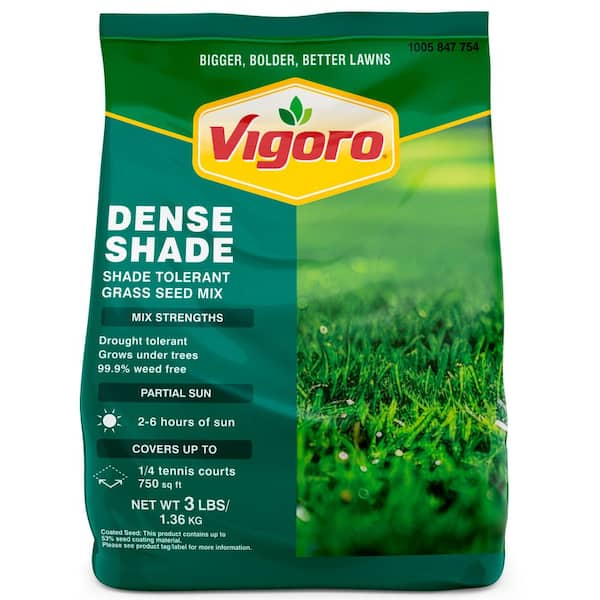 3 lbs. Shady Lawn Grass Seed Mix