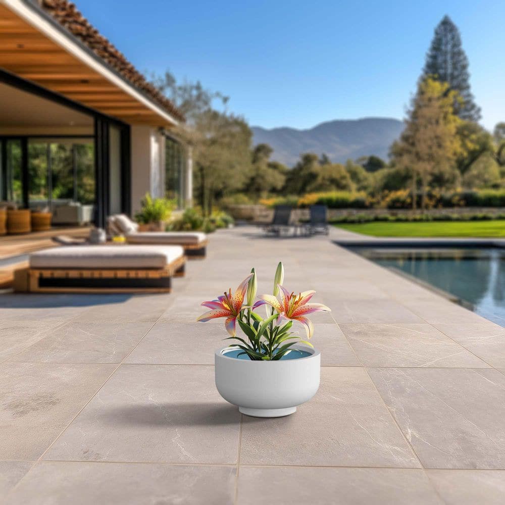 14 in. Medium Crisp White (Enhanced Interior) Concrete Round Planter / Pot with Drainage Holes price history on PriceWatchPro