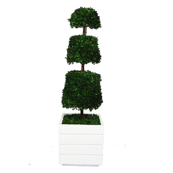 Laura Ashley 50 in. Tall Preserved Natural Spiral Boxwood Cone Topiary in 14 in. Fiberstone Planter