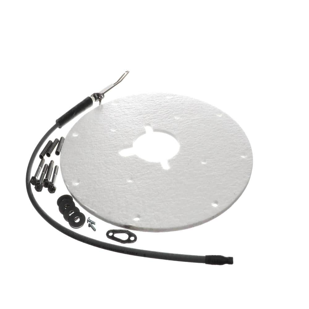AO Smith Angled Spark Igniter Assembly 100271889 price history on PriceWatchPro