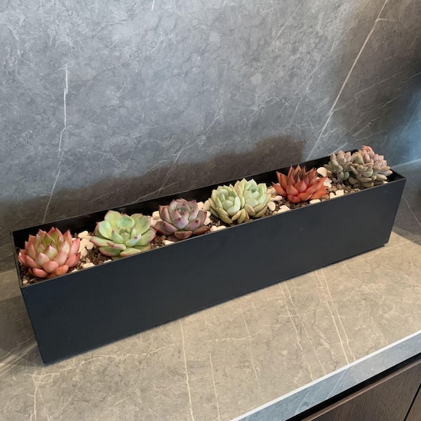 Misopily 16 in. L x 3.25 in. W x 3.5 in. H Black Indoor Steel Rectangle Trough Modern Window Sill Planter Box for Herbs