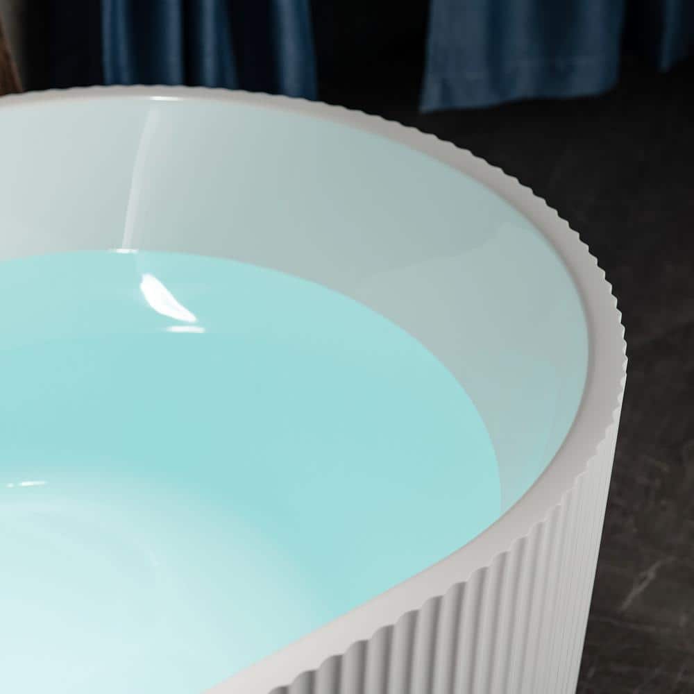 Pavanjit 67" White Matte Black Freestanding Acrylic Soaking Tub