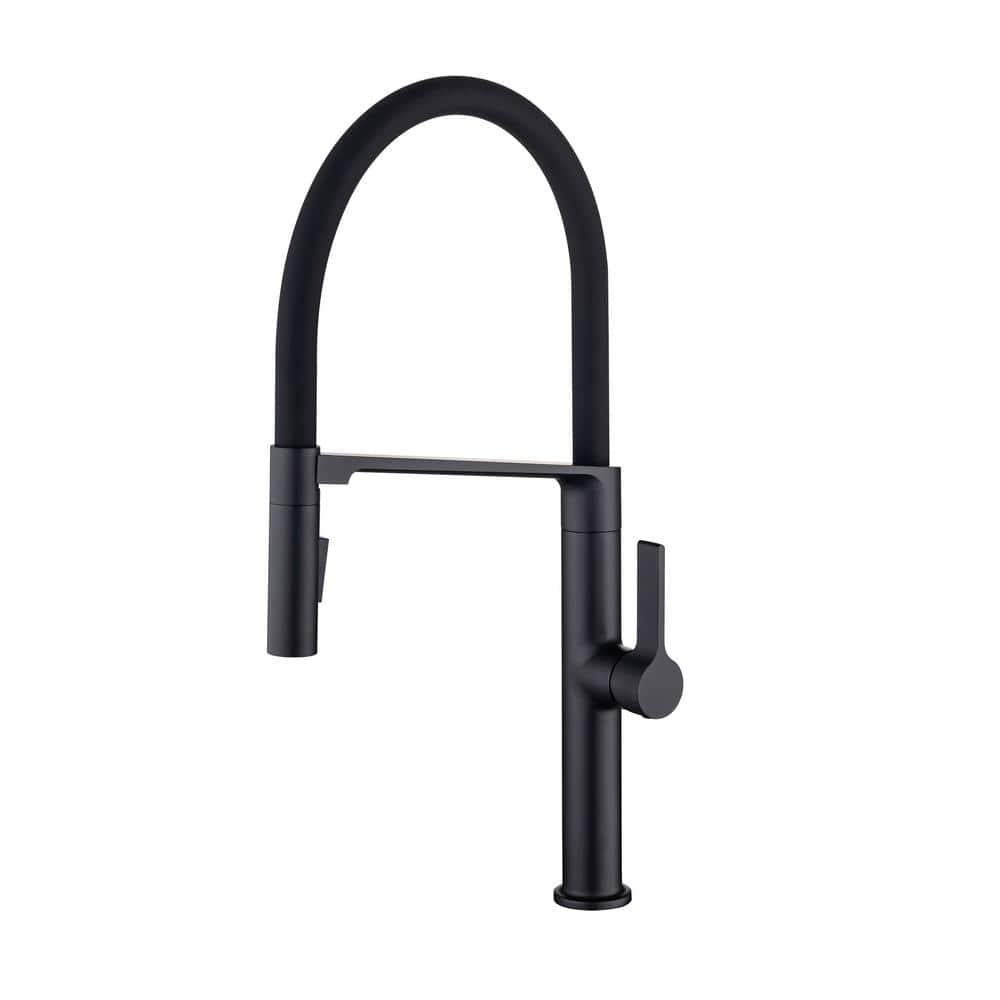 Single Handle Pull Down Sprayer Kitchen Faucet with Magnetic Docking Spray 