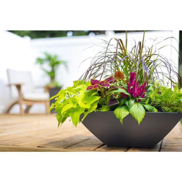 Evolve 6 Gal. Large Black Indoor Plastic Square Planter (20 in. L x 20 in. W x 7 in. H), (2-Pack)