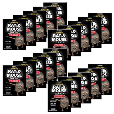 Rat and Mouse Glue Trap Super-Size (20-Pack)
