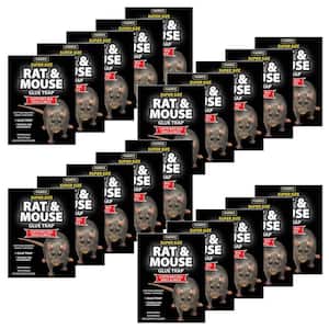 Real-Kill Large Rat and Mice Glue Traps (2-PacK) HG-10096MP - The Home Depot