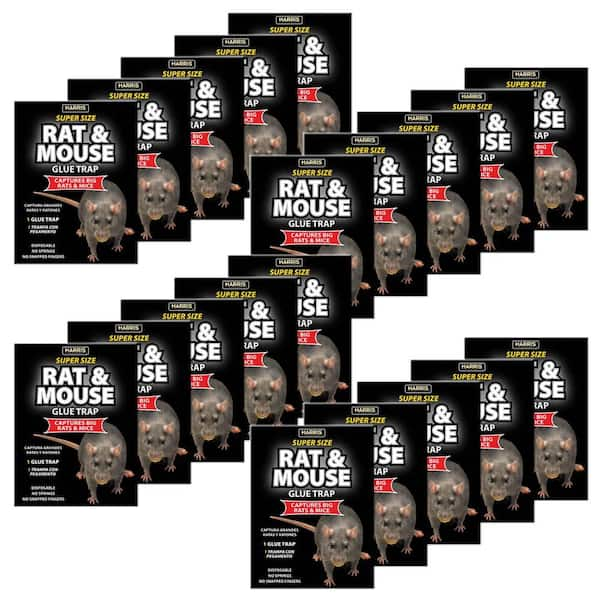 Harris Rat Glue Trap