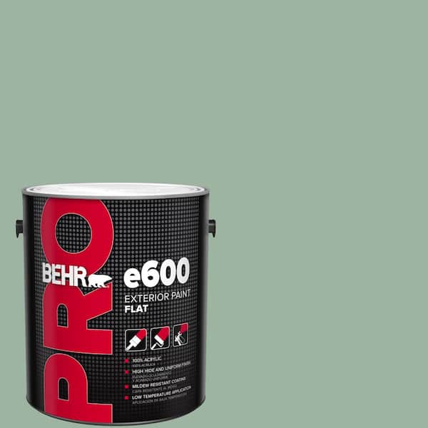 BEHR PRO 1 gal. #S410-4 Copper Patina Flat Exterior Paint