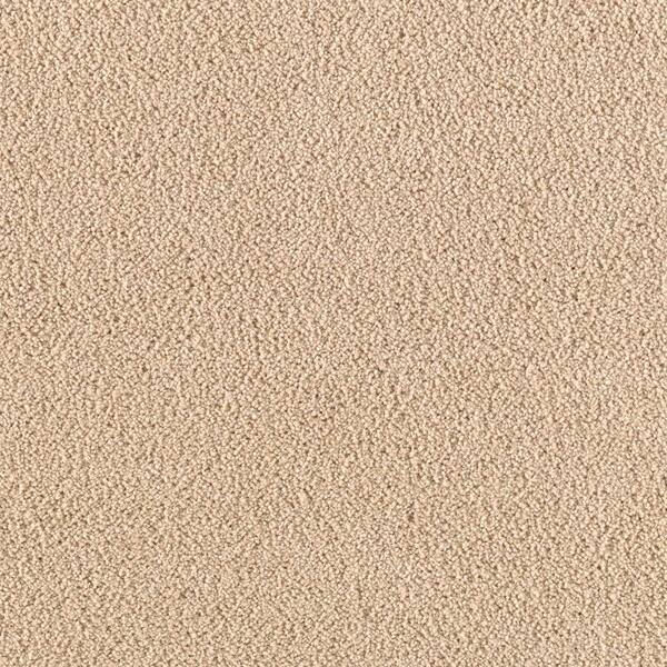 Home Decorators Collection Carpet Sample - Shining Moments III (S) - Color Summer Straw Texture 8 in x 8 in