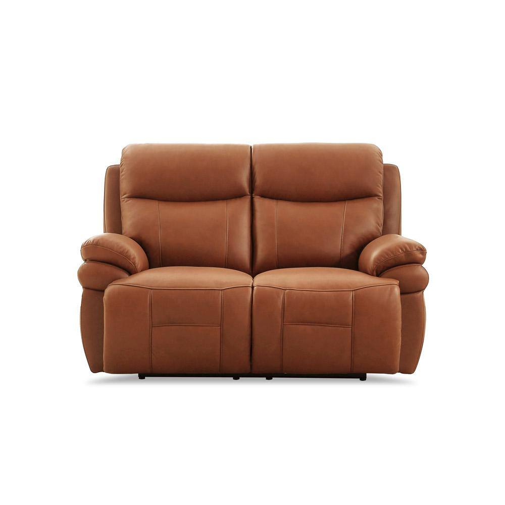 Hydeline Springdale 65 in. Cinnamon Brown Solid Leather 2 Seats