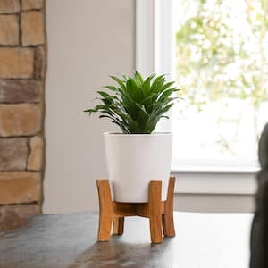 Contemporary Medium 8 in. x 11.02 in. 5 qt. White Ceramic Indoor Planter With Wood Stand