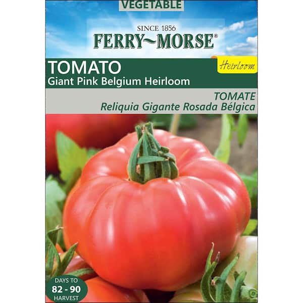 Ferry-Morse Tomato Giant Pink Belgium Heirloom Seed