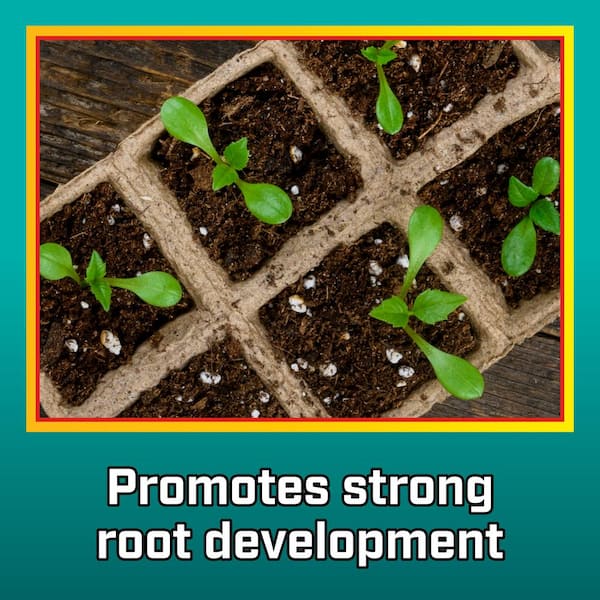Permatill Perlite - Soil Amendments - The Home Depot