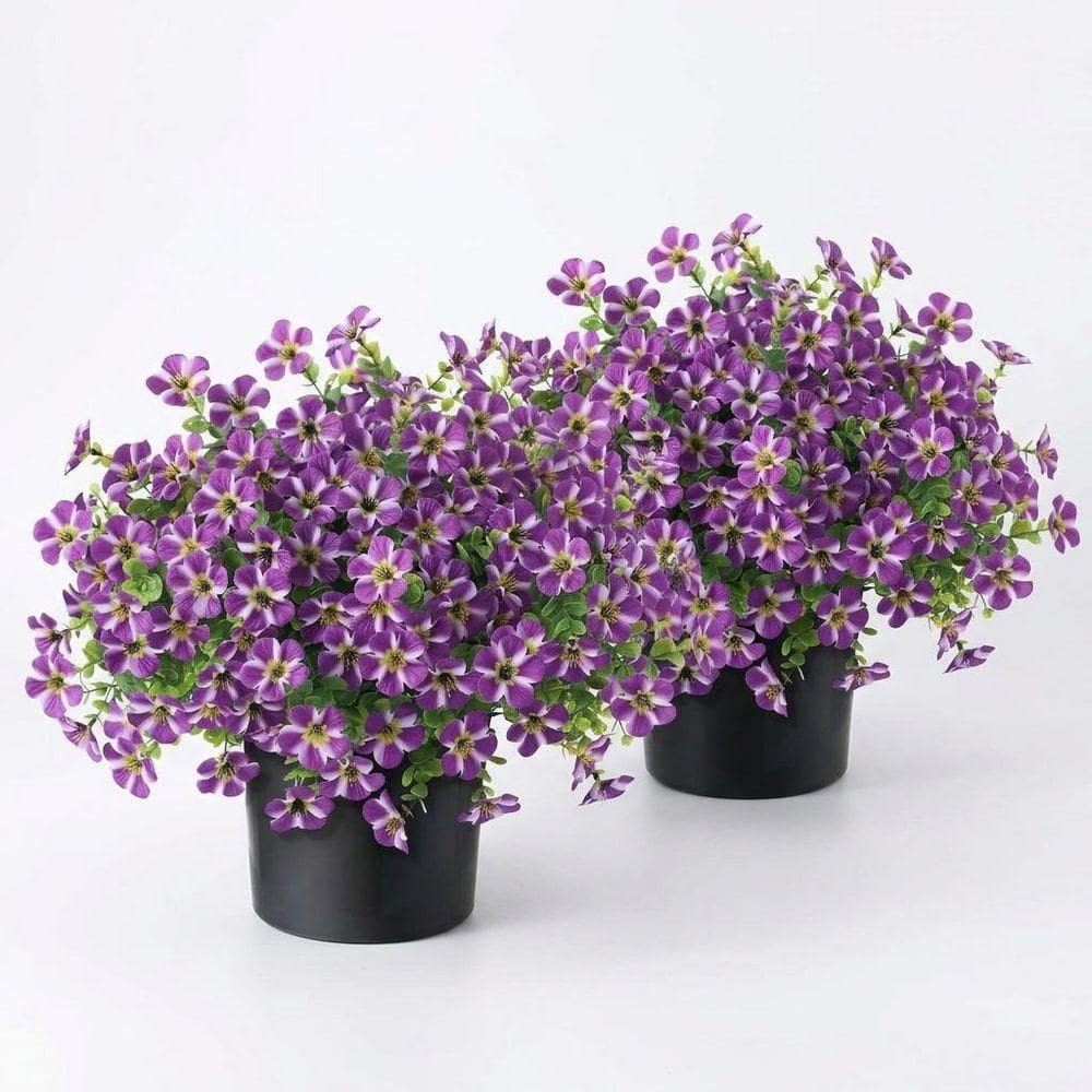 2 Pack 6.7 in. Purple Outdoor Artificial Morning Glory in Black