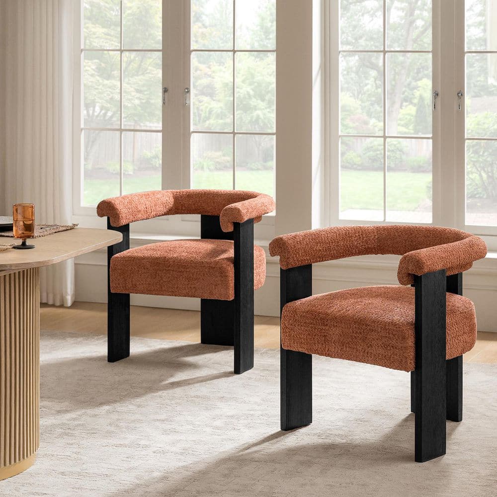Emanuele Modern Coral Boucle Dining Chair with Solid Wood Legs Set of 2 price history on PriceWatchPro