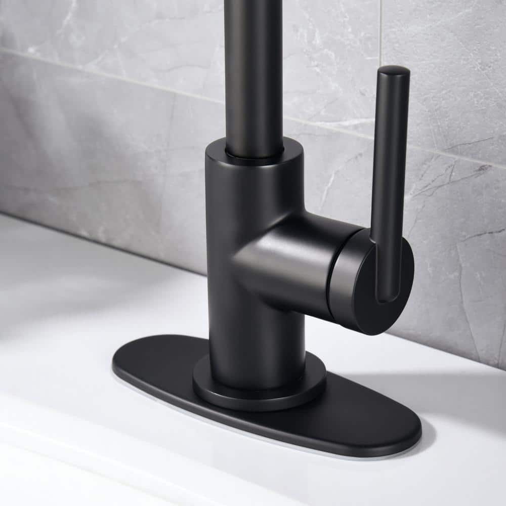 Matte Black Single-Handle Bathroom Faucet with Drain Assembly