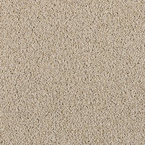 Radiant Retreat II Serene Gray 58 oz. Polyester Textured Installed Carpet