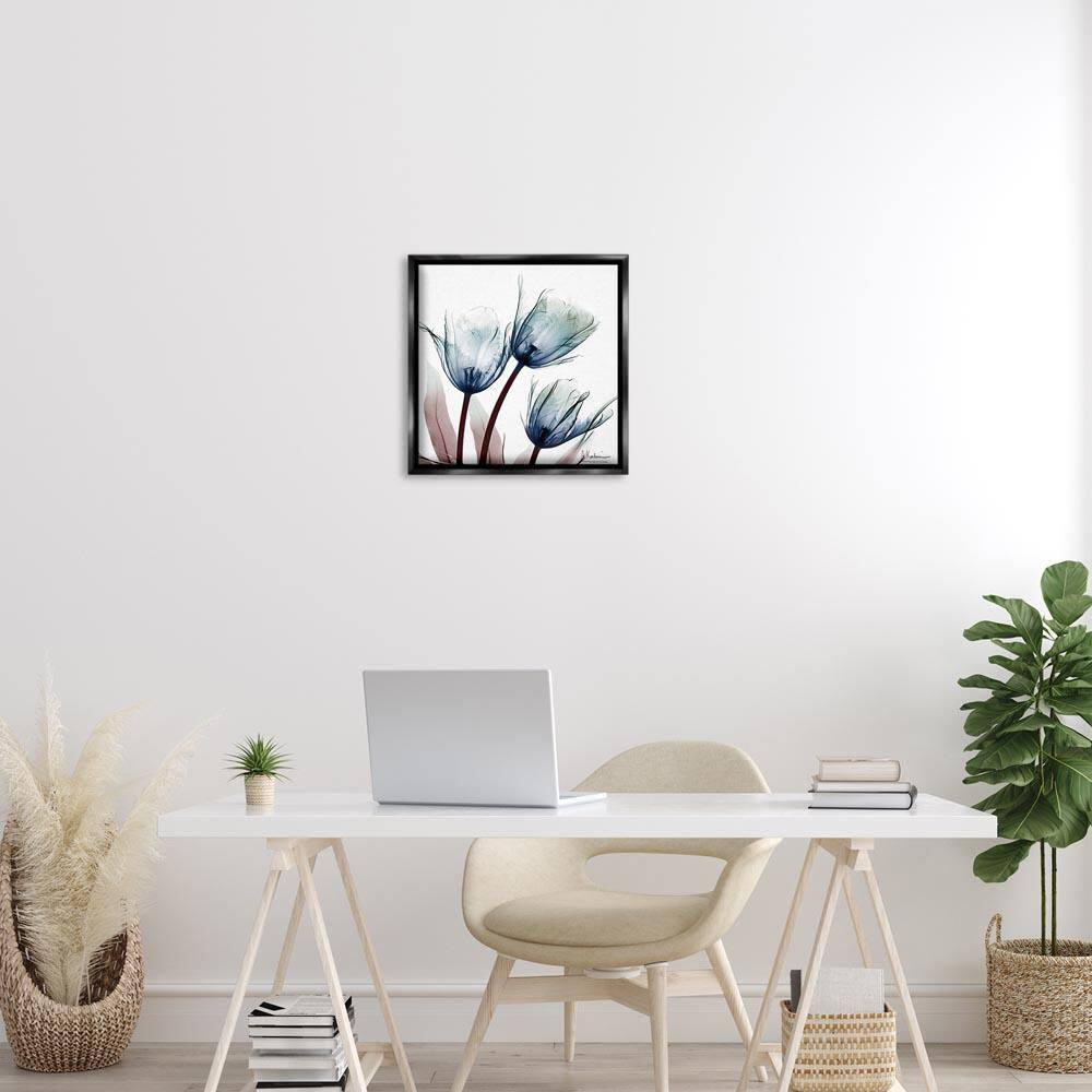 Translucent Tulip Bulbs by Albert Koetsier Black Floater Frame Nature Graphic Art Print 18 in. x 18 in. price history on PriceWatchPro