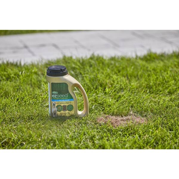 Is Scotts Grass Seed Safe For Dogs