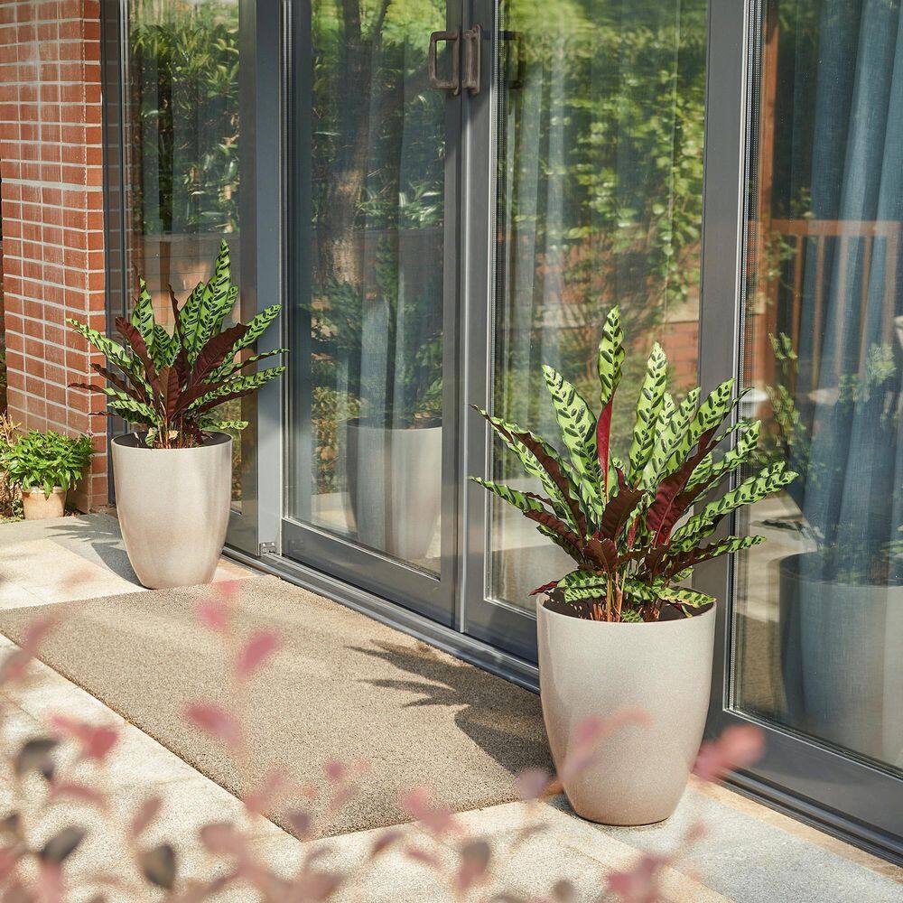 Eco-Friendly Sand Beige Tall Planter Duo for Indoor & Outdoor