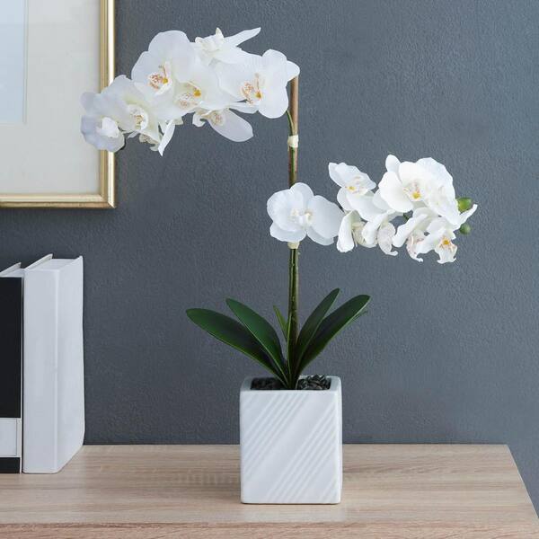 Unbranded Artificial 21 in. White Orchid Centerpiece in Ceramic Pot