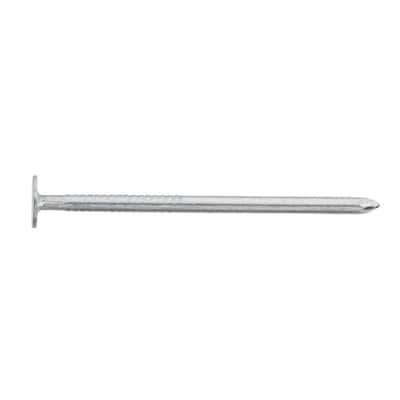 2 in. x 6D Hot Dipped Galvanized Box Nails 1 lb. (203-Count)