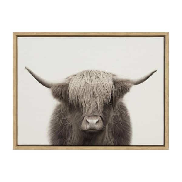 Hey Dude Highland Cow Color by The Creative Bunch Studio Framed Animal Canvas Wall Art Print 24.00 in. x 18.00 in.