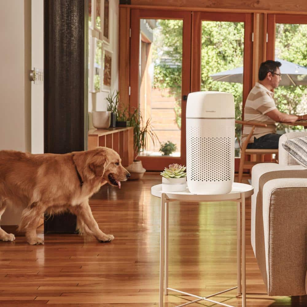 White Ionic Odor Absorbing Tower Air Purifier